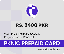 PKNIC Domain: Your Gateway to a Distinctive Online Presence in Pakistan
